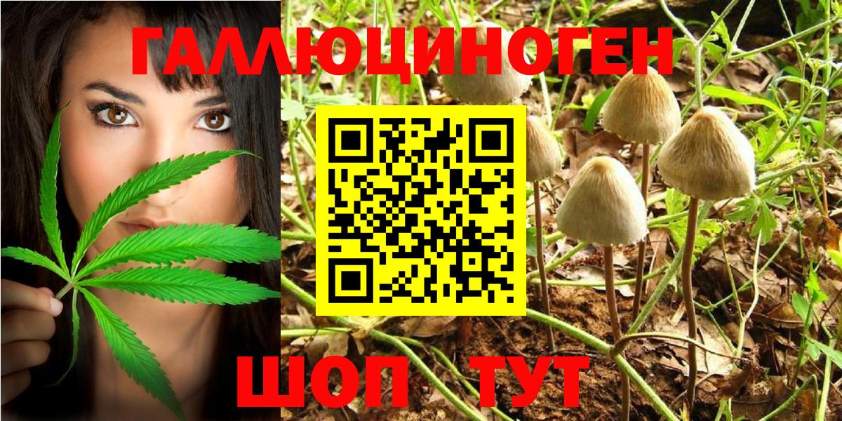Псилоцибиновые грибы MAGIC MUSHROOMS Белгород